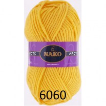 6060