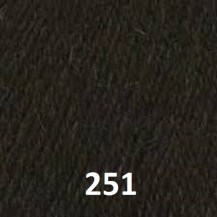 251
