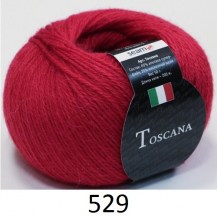 529
