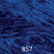 857_v6